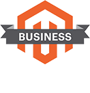 magento solution partner
