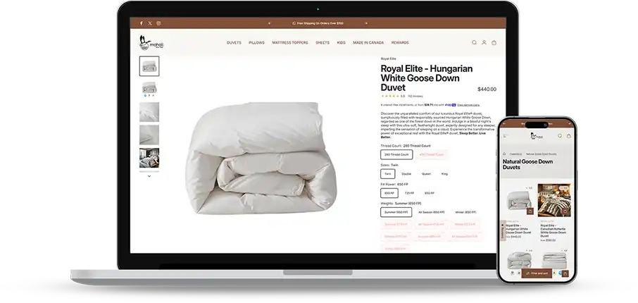 Web Design Challenges Faced by Maholi