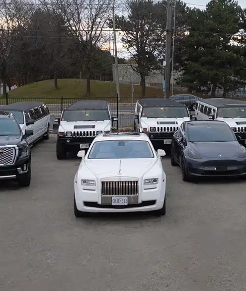 Lavish Limo SEO Case Study Background Image