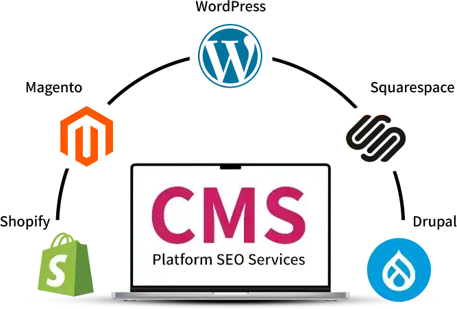CMS Platform SEO Services
