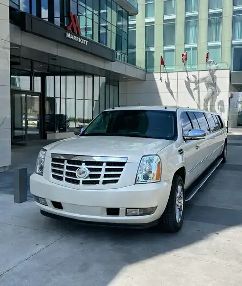 Sapphire Limo Case Study Background mage