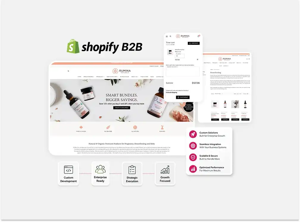 Shopify Plus B2B Implementation Services Shopify Plus B2B Implementation Services