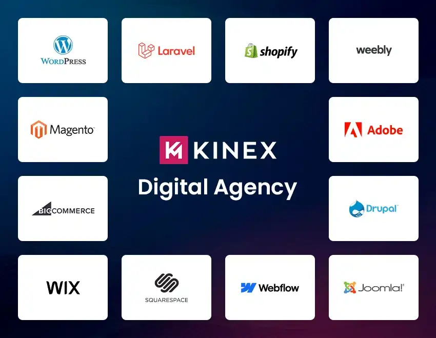 Website Migration Agency