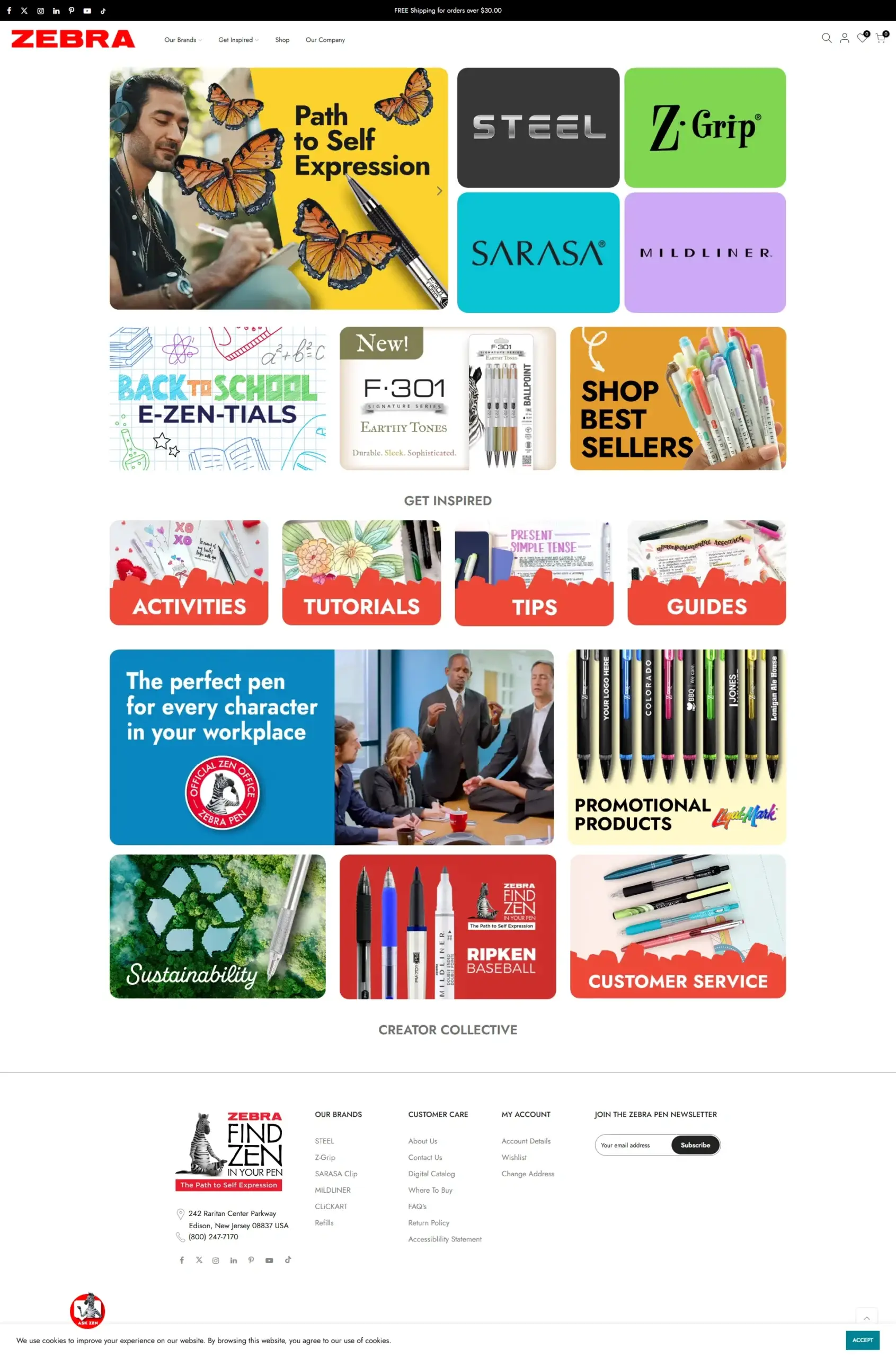 Web Design Success for Zebra Pen Delivered Results