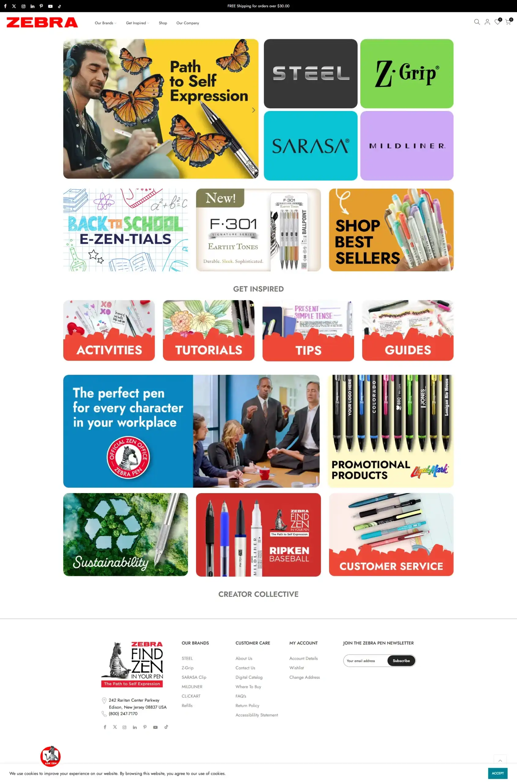 Web Design Success for Zebra Pen Delivered Results