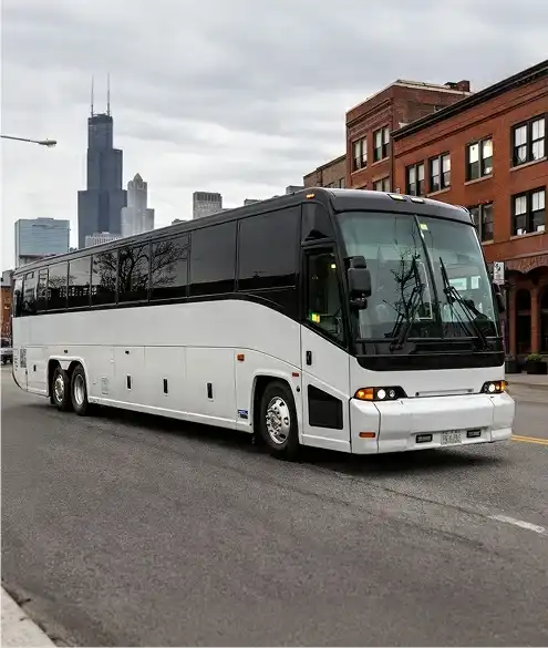 6 party bus toronto case study background image