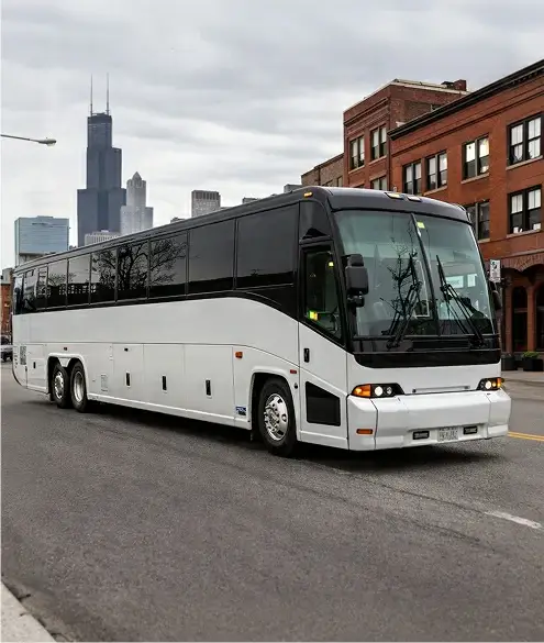 6 party bus toronto case study background image