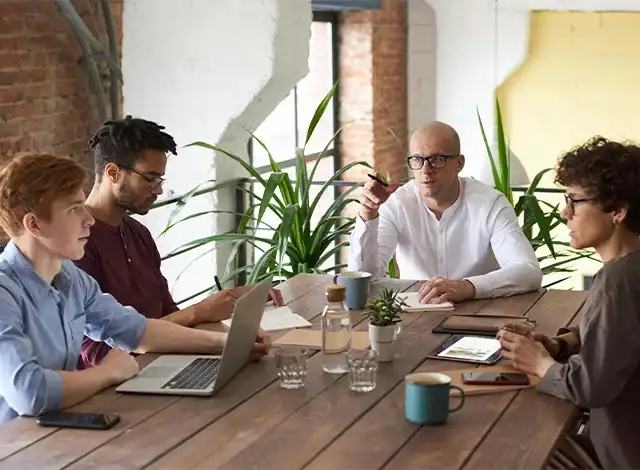 Windsor CMS Platform SEO Services