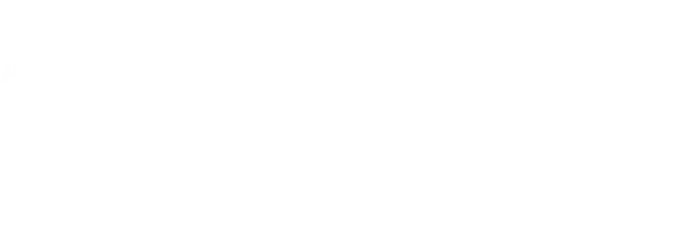 Weins Foods White Logo