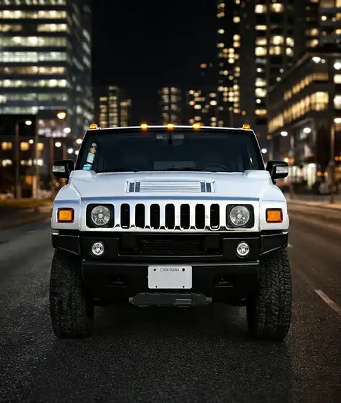 Lavish Limo Case Study Background Image