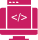 Custom Ecom Dev