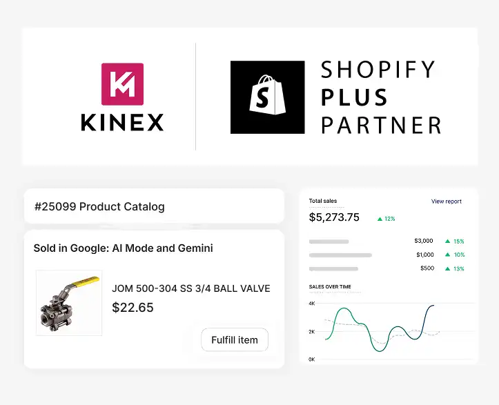 Shopify Plus Theme Customization Services