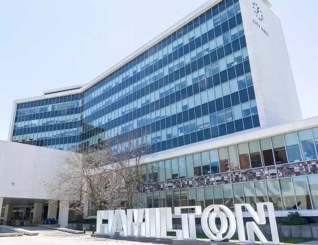SEO Hamilton