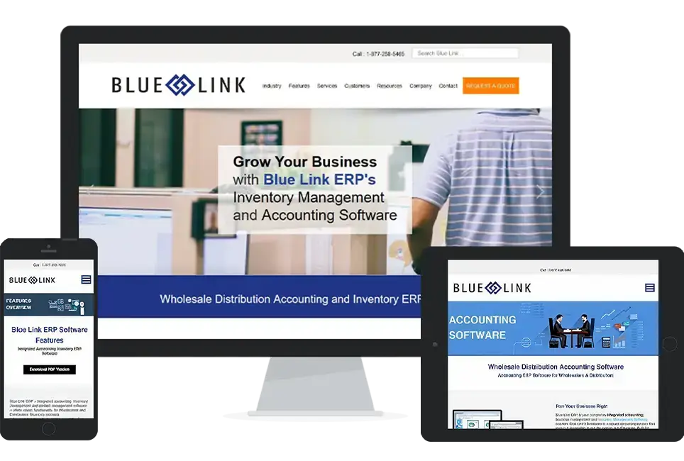 bluelinkerp-screens Default Ranking Image