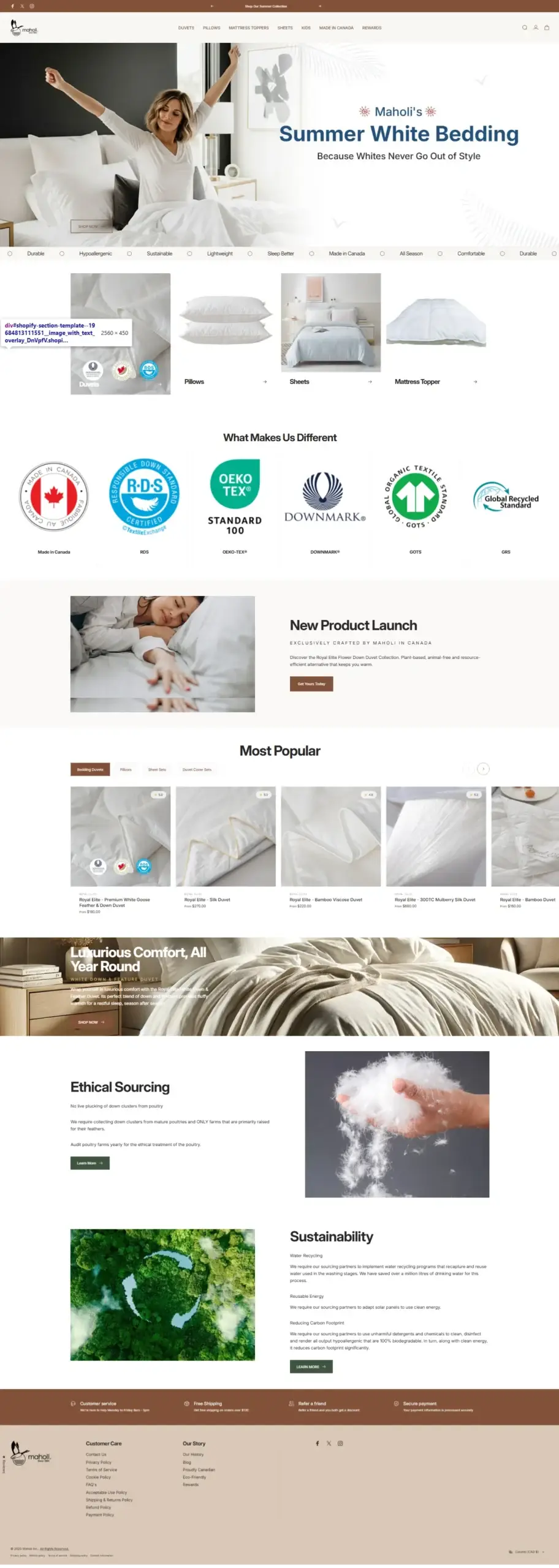 Web Design Success for Maholi Delivered Results
