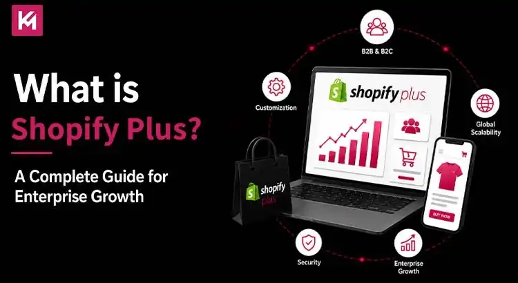 What is Shopify Plus