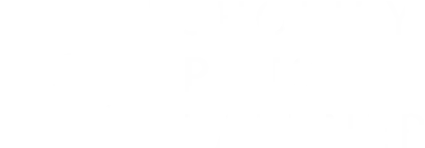 shopify-plus-partner-new