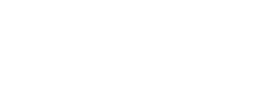 shopify-plus-partner-new