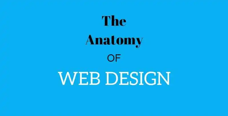 Anatomy.jpg