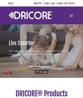 dricore case study main image