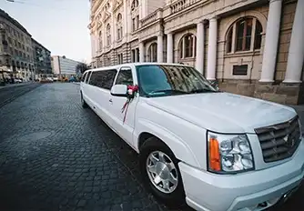 Graphic Design for Limo