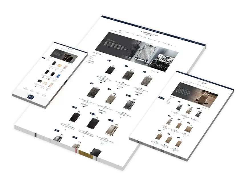 Web Design Brampton Services