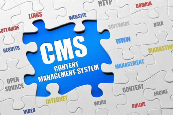 Content Management System