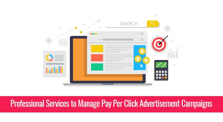 Professional Services to Manage Pay Per Click Advertisement Campaigns