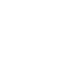 Lanz Mechanical